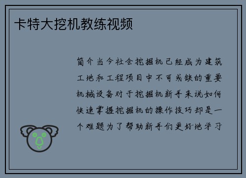 卡特大挖机教练视频